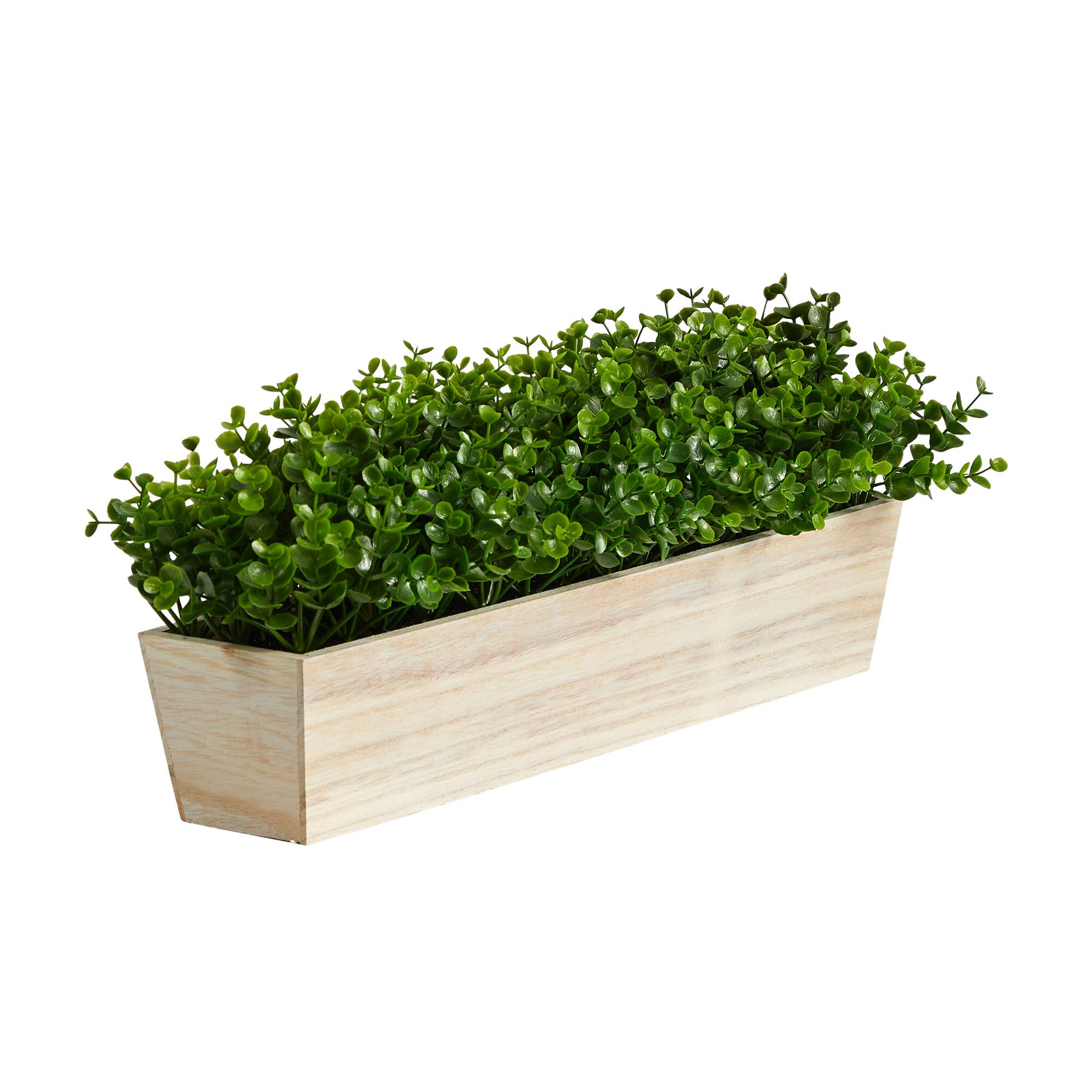 8" Eucalyptus in Decorative Planter